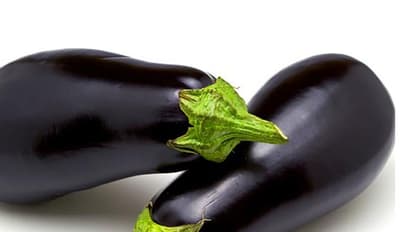 ఒక తెలుగోడి వంకాయ కబుర్లివి