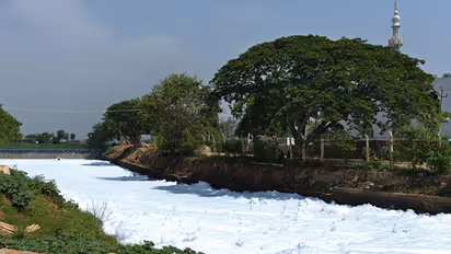 Bellandur industries appeal to NGT to cancel close down notice