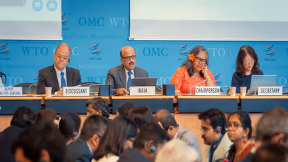 Stills from the WTO review meet (Photo/@CommereceDepartment)