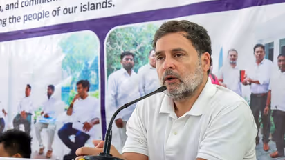 LoP in Lok Sabha Rahul Gandhi (File photo/ANI)