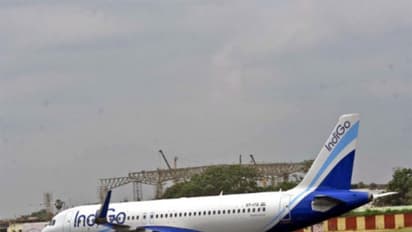 Representative Image (File Photo/ANI)