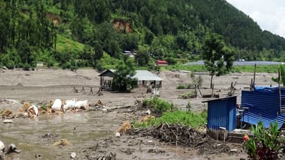Flash flood ravages Nepal’s Rasuwa (Photo/ANI)