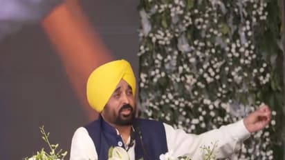 Punjab Chief Minister Bhagwant Mann (Photo/ANI)