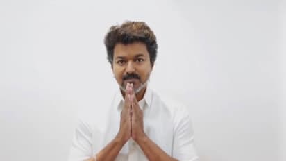 TVK chief and former actor Vijay (Photo/TVK)