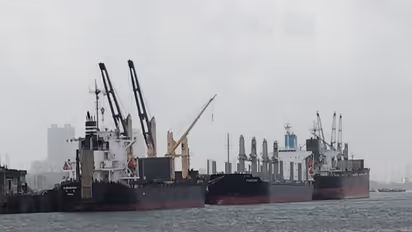 Representative Image (File Photo/@MumbaiPortTrust)