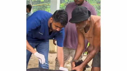 Vantara Foundation wildlife rescue team (Photo/@ril_foundation)