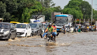 Representative image (File Photo/ANI)
