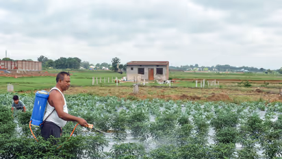 Representative Image (File Photo/ANI)