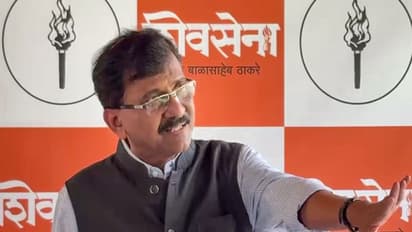 Shiv Sena (UBT) MP Sanjay Raut (File photo/ANI)