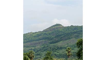 Beedumala hill range (Photo/Shri Ram Janmabhoomi Teerth Kshetra Trust)