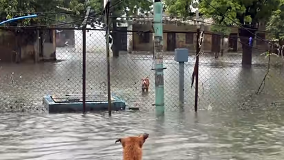 A view of waterlogged area in Surat (Photo/ANI)