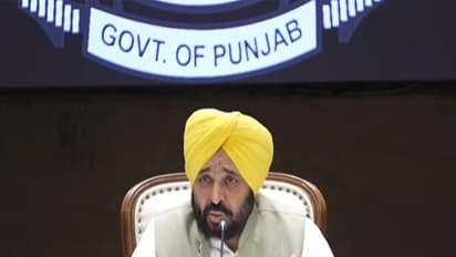 Punjab CM Bhagwant Mann (File Photo/ANI)