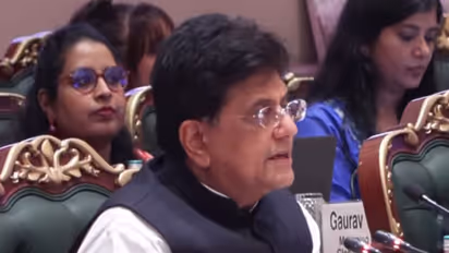 Commerce Minister Piyush Goyal (Photo/Piyush Goyal YoutTube)