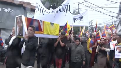 Visuals from protest rally of Tibetans in Dharamshala against China (Photo/ANI)
