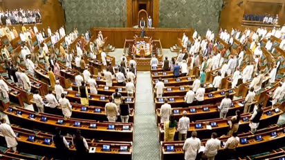 Lok Sabha proceedings (Photo YouTube/Sansad TV)