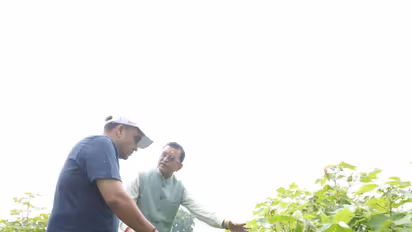 Gujarat Deputy CM Harsh Sanghavi interacts with farmers at Natural Farming Event (Photo/Gujarat CMO)