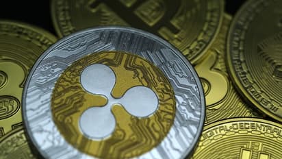 Sui, XRP Shine Even As Crypto Investment Funds See Record $2.9B Outflows – Retail Sentiment Rebounds