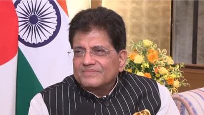 Union Commerce and Industry Minister Piyush Goyal (File Photo/ANI)