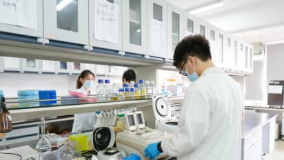 https://stocktwits.com/news-articles/markets/equity/big-pharma-eyes-china-j-and-j-and-roche-reportedly-in-talks-for-henlius-experimental-cancer-drug/chwy5dfRdy5