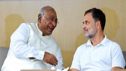 AICC President and Rajya Sabha LoP Mallikarjun Kharge and Lok Sabha LoP Rahul Gandhi (File Photo/ANI)