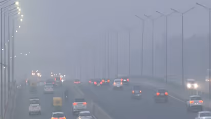 Representative Image (Photo/ANI)