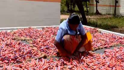 Firecracker units in Sivakasi, Tamil Nadu (Photo/ANI)
