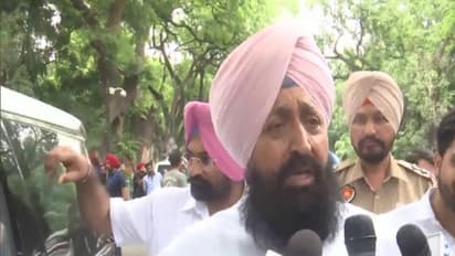 Leader of Opposition in Punjab Assembly, Pratap Singh Bajwa (Photo/ANI)