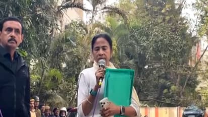 West Bengal CM Mamata Banerjee. (Photo/ANI)