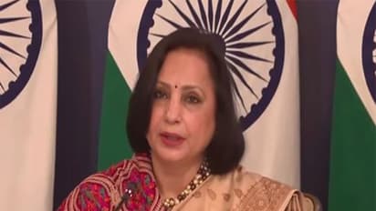 MEA Secretary (South) Dr Neena Malhotra (Photo/ YouTube @MEAIndia)