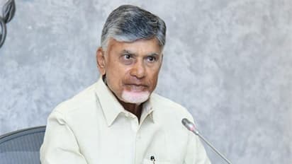 Andhra Pradesh Chief Minister N Chandrababu Naidu (File Photo/ANI)