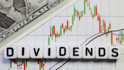 Tariffs Turmoil: Weather the Storm With These Dividend Stocks