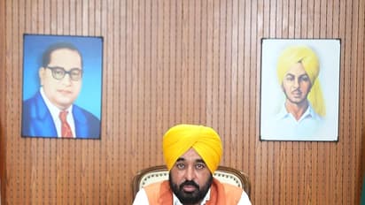 Punjab CM Bhagwant Mann released a video message on the controversy over a viral video (Photo credit/X/BhagwantMann)