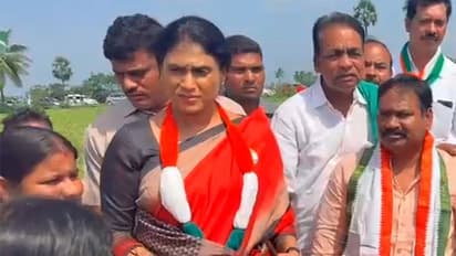 Andhra Pradesh Congress Committee Chief YS Sharmila Reddy. (Photo/ANI)
