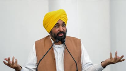Punjab CM Bhagwant Mann (File Photo/ANI)