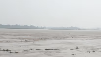 Nakta Diara area amid rising Ganga water levels in Bihar (Photo/ANI)