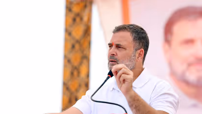 Congress leader Rahul Gandhi (Photo/ANI)