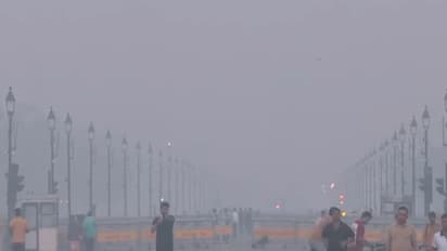 Representative Image (Photo/ANI)