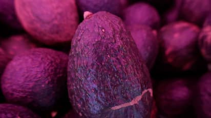 BranchOut Food Stock Surges On Sales Growth Projection: Retail's Bullish