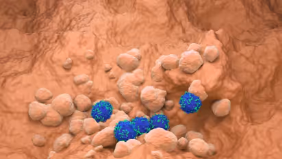 https://stocktwits.com/news-articles/markets/equity/sls-ibrx-major-cancer-conferences-new-drug-data-on-deck/cZtlxWDRBRh