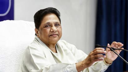 BSP chief Mayawati (FilePhoto/ANI)