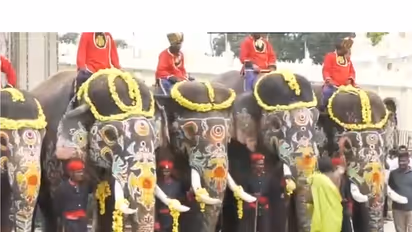 Puja performed as elephant squad prepares to return to forest (Photo/ANI)