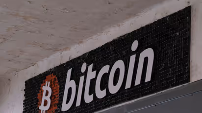 https://stocktwits.com/news-articles/markets/cryptocurrency/larry-lepard-bitcoin-wild-animal-wall-street-institutional-investors-mstr/cZo4oOgRJI0
