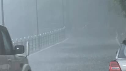 Heavy rain lashed parts of Shimla (Photo/ANI)