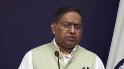 MEA spokesperson Randhir Jaiswal (Photo/ANI)