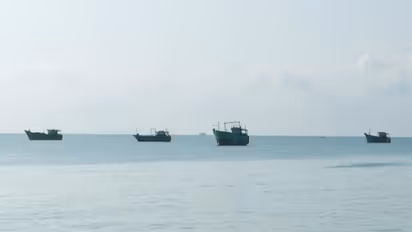 Representative Image (Photo/ANI)