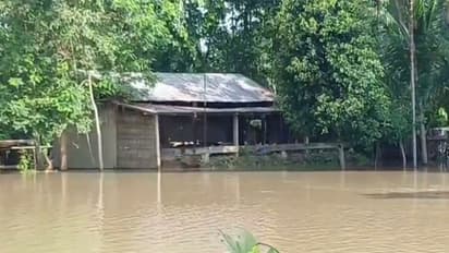 Flood situation worsens in Golaghat (Photo/ANI)