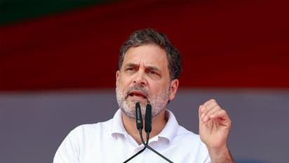 LoP in Lok Sabha Rahul Gandhi (Photo/ANI)