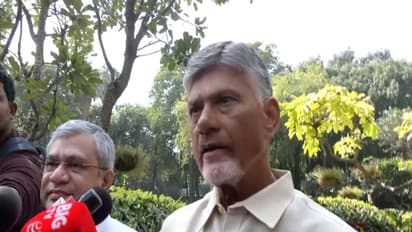 Andhra Pradesh Chief Minister Chandrababu Naidu (File Photo/ANI)