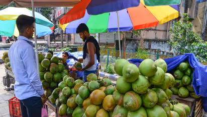 India ranks first in global coconut production (File photo/ANI)