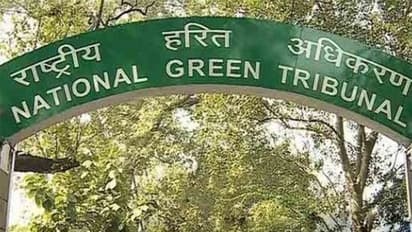 The National Green Tribunal (File Photo/ANI)